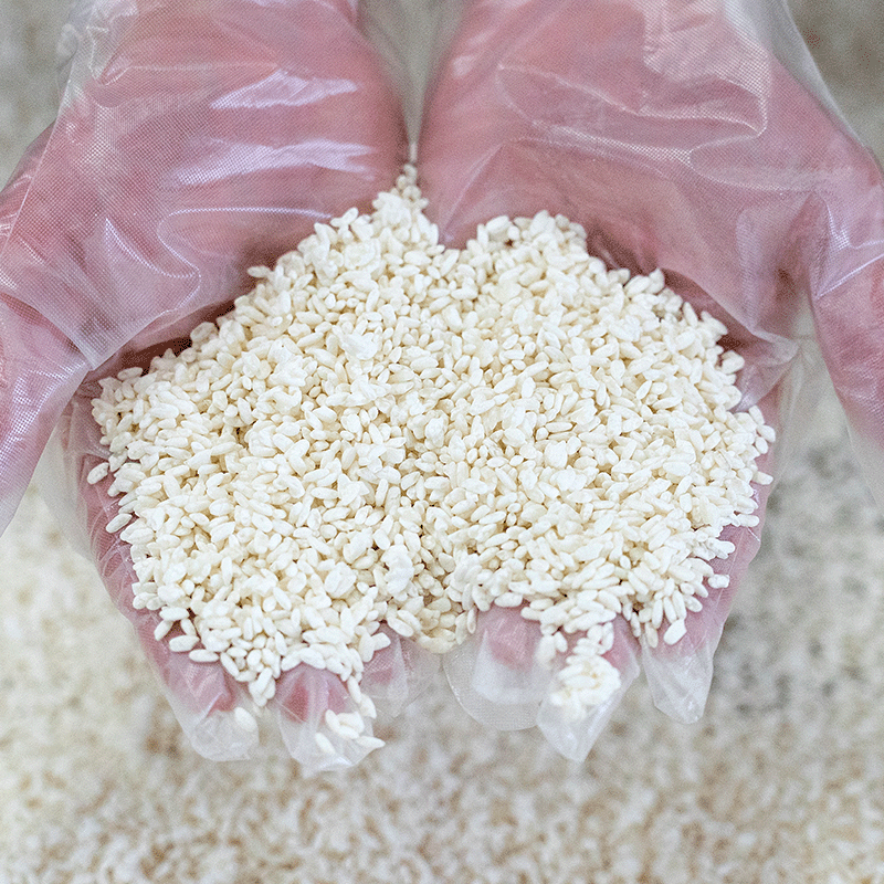 ��6�ܥ��åȡۡ�ͭ��JAS(�������˥å�)�۽��ƾ�¤�ݡ�500ml��������ˡ��Τʤ��������ȯ��ˡ�åġ���Ȥ������������ʤ�