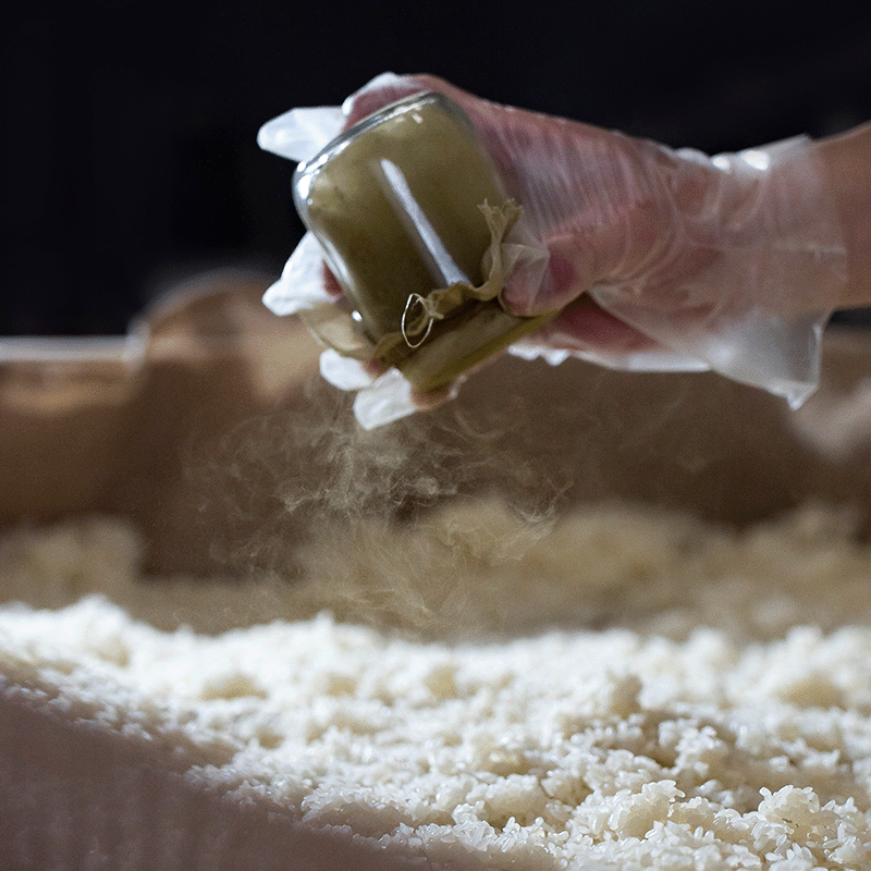 ��6�ܥ��åȡۡ�ͭ��JAS(�������˥å�)�۽��ƾ�¤�ݡ�500ml��������ˡ��Τʤ��������ȯ��ˡ�åġ���Ȥ������������ʤ�