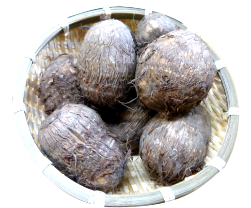 ����3.0kg�۾徱���Ȥ��⡿��ä���������Ȥ��ä��������Ǽ�ʪ�˥ԥå���ڤ���ʸ�塢ȯ���ޤǤ�7�����٤����֤�ĺ�פ��ޤ�����