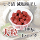 �̾� ���������ߴ�������γ��300g
