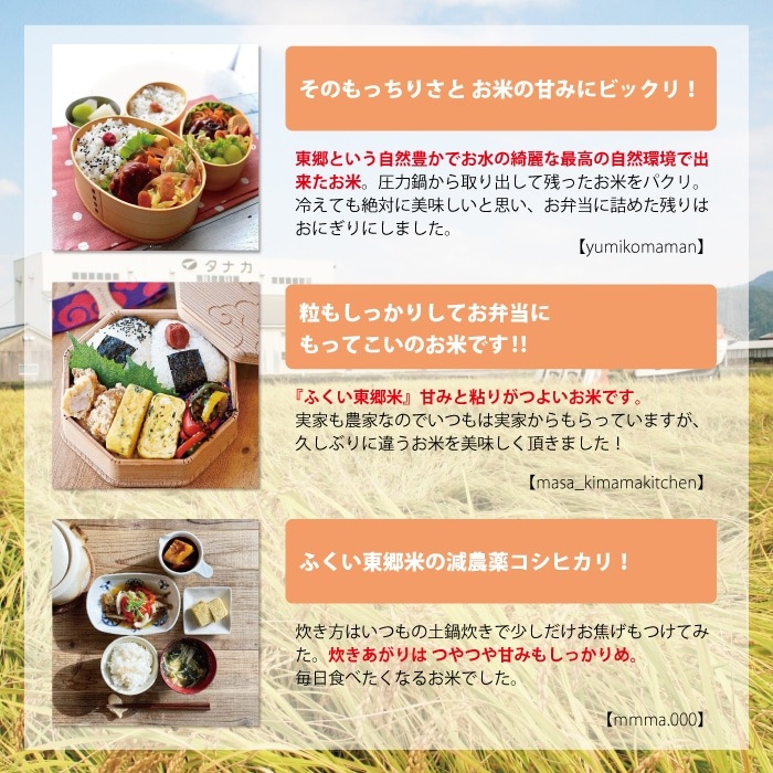 ����������̺����� �ϥʥ�����������ơۡ���3kg�������ޡۡ�������70��ʾ奫�åȡ�ͭ��Ŭ���������ѡʸ������ˡ�