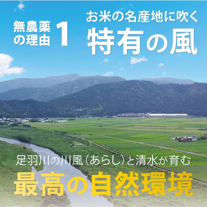 ���������ȯ�긼�ơ����̺����Ƥ��������ޤ�����1kg�ۡ���1ǯ�ʾ����������������Ի��ѡ�̵�����ˡ�