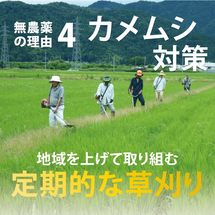 ���������ȯ�긼�ơ����̺����Ƥ��������ޤ�����5kg�ۡ���1ǯ�ʾ����������������Ի��ѡ�̵�����ˡ�