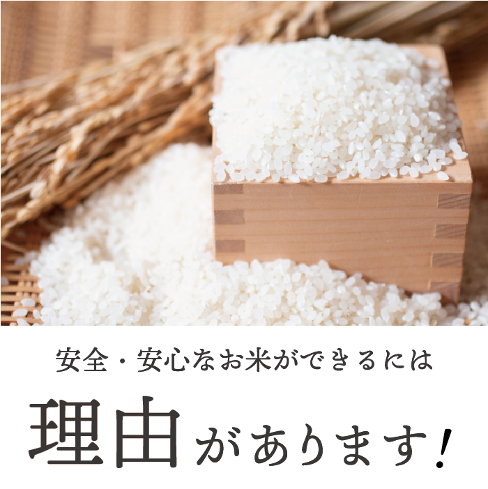 ̾ͭJASҥ ơơơۤդ춿ơ2kg ۥ˥å