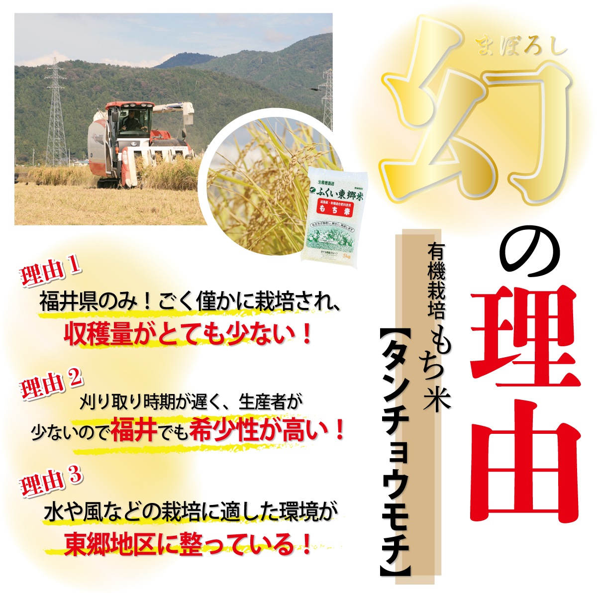 �����̺�����100����ѡ���ޤ�����30~33�ġ�1kg��1,000g�õϤĤ��Υ����ȥΥӡø��Τ���ơå�����祦�����