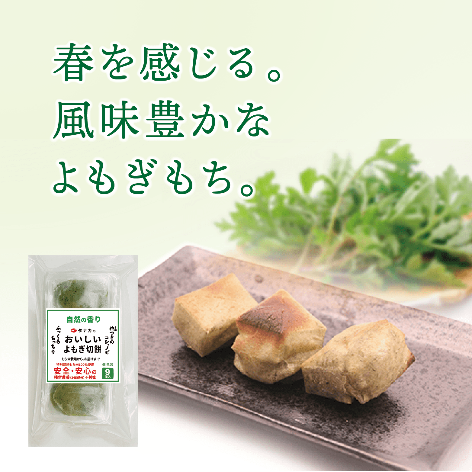 �������̺��ݥ�����祦����ƻ��ѡۤ�⤮��� 9�������360g�˸����� ����70��ʾ奫�åȡ�ͭ���������ݡʸ�������