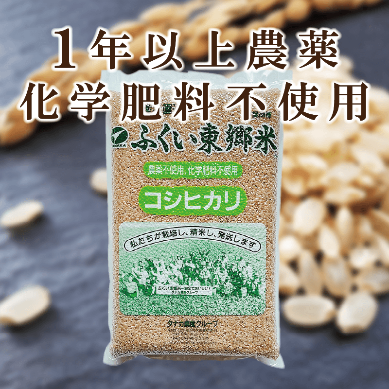 ���ڥ����ѥå������ǡ۸��ƥѥå����Ϥ� 36�ĥ��åȡ����̺����ƥ����ҥ��ꡡ150g��̵������1ǯ�ʾ����������������Ի��Ѻ��ݡˡӡھ�̣���¡�2027ǯ9��12����