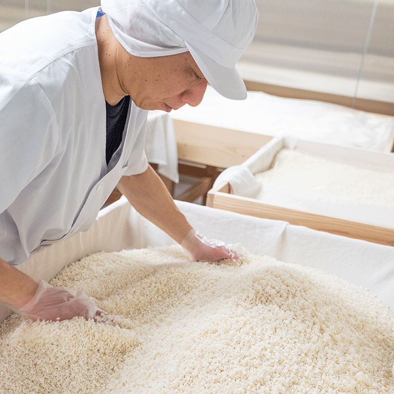 ��ͭ��JAS(�������˥å�)�۽��ƾ�¤�ݡ�500ml��������ˡ��Τʤ��������ȯ��ˡ�åġ���Ȥ������������ʤ�