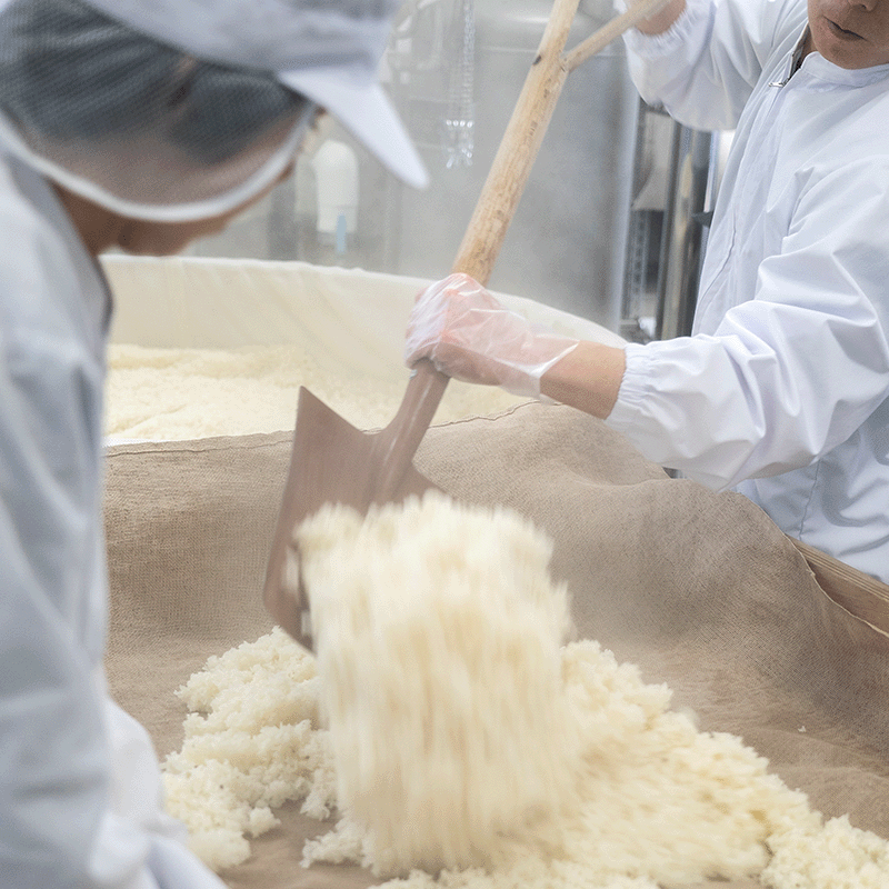 ��ͭ��JAS(�������˥å�)�۽��ƾ�¤�ݡ�500ml��������ˡ��Τʤ��������ȯ��ˡ�åġ���Ȥ������������ʤ�