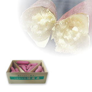 ���ȤߤĶ���ڥ��奢��󥰡��Ѵ������ˡۺѡ��ۥ��ۥ������Ⱦ��ʤʴŤ��ǥѥƥ������ˤ�͵��Τ��Ĥޤ��⢨����ʸ�塢ȯ���ޤǤ�7�����٤����֤�ĺ�פ��ޤ���