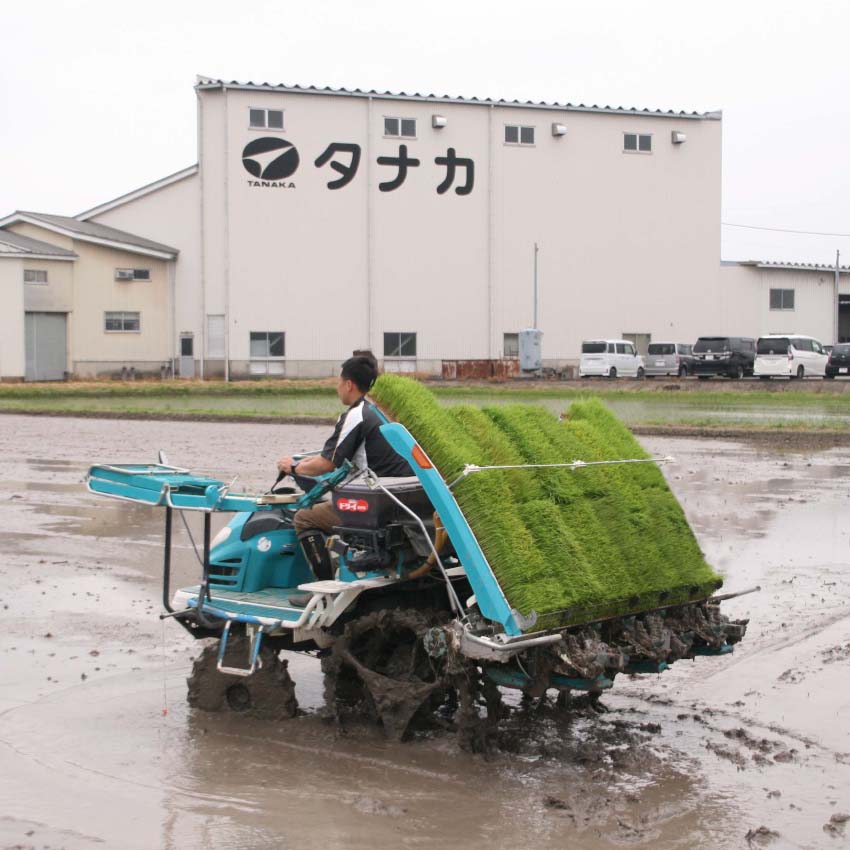 �������ҥ���Τ����桡270g