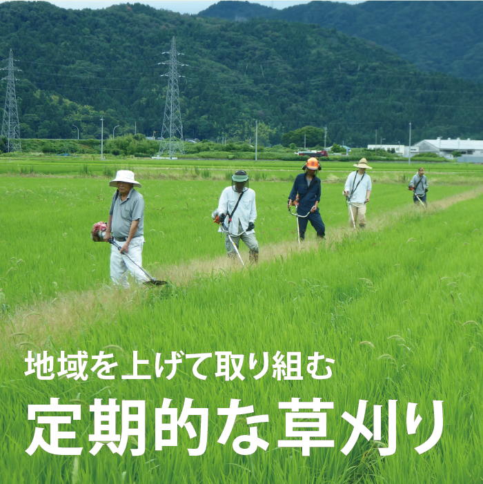 ̾̺ƥ祦 ڤơۤդ춿ơ5kgޡۡ70ʾ奫åȡͭŬѡʸˡ