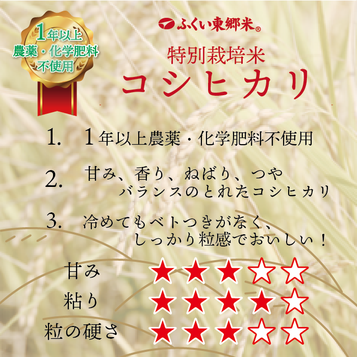 ����������̺����ƥ����ҥ��� �����ơ����ơ��������ơ� �դ����춿�ơ�3kg�������ޡۡ�1ǯ�ʾ����������������Ի��ѡ�̵�����ˡ�