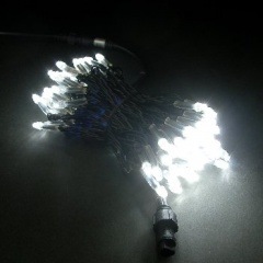 ץ̣͡ţĥȥ󥰥塡ۥ磻ȡLED-SL100W