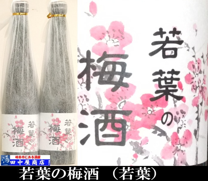若葉  梅酒　500ml