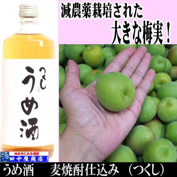 つくし　梅酒　720ml