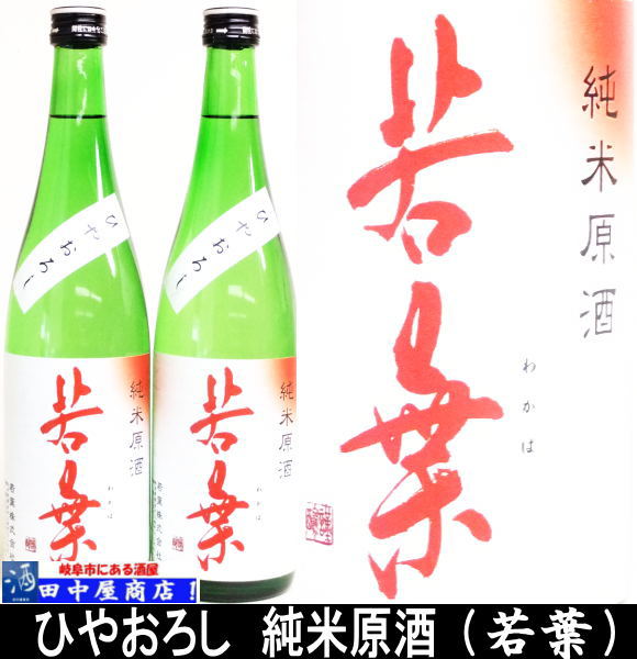 若葉　純米　ひやおろし　720ml