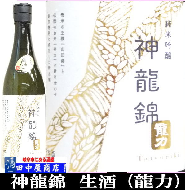 【感謝フォロー2000人】⑤アガべ　錦比べ　太陽神錦　豆豆龍錦　TC2株　♯57 感謝フォロー2000人】⑤アガべ 錦比べ 太陽神錦 豆豆龍錦 TC2株 ♯57