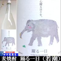 �٤������1.8L