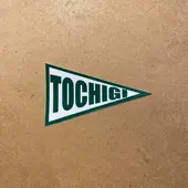 TOCHIGI ｸﾞﾘｰﾝ（ｽﾃｯｶｰ三角）