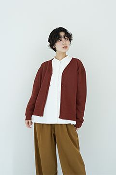 オオカミとフクロウ 2025 オオカミとモモンガのロロン　生成　タンディ セール】オオカミとモモンガのロロン“春夏”（ベスト）｜オオカミ