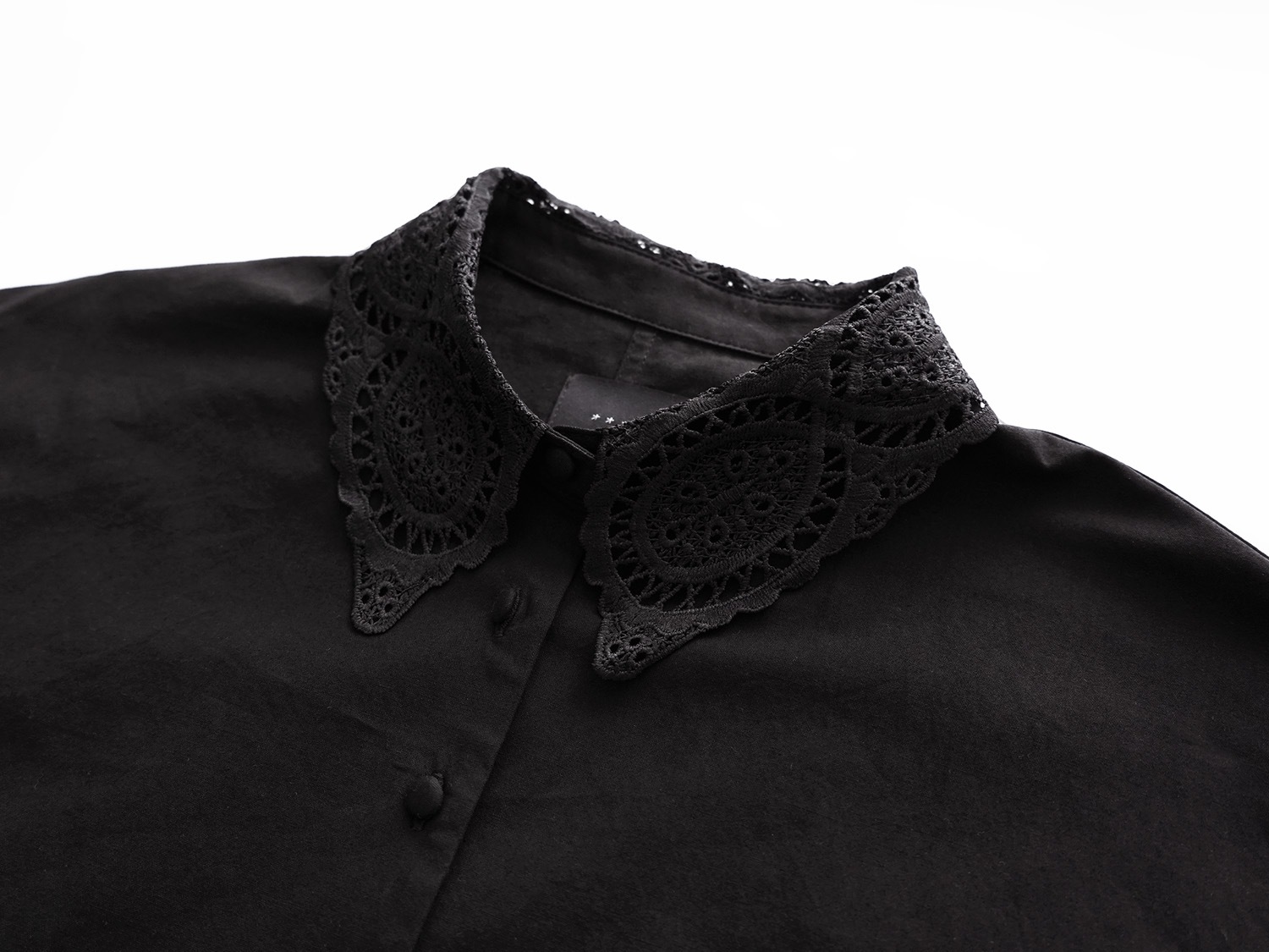 オオカミとフクロウ オオカミと小鳥の囀る木の下で | オオカミと