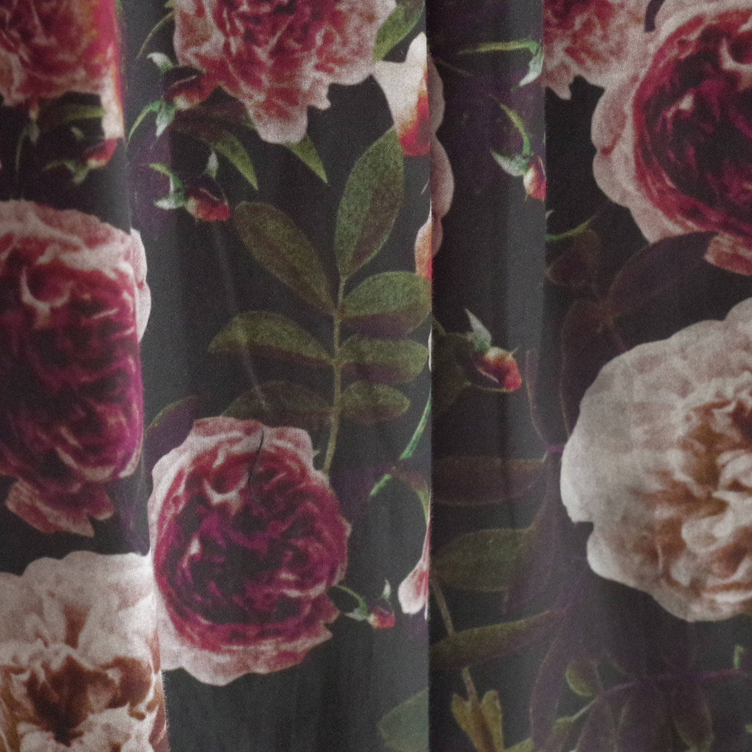 ECOLE DE CURIOSITES ��������ɥ���ꥪ���� : SOLANGE (ROSES��BLACK) ��С����֥륹������