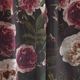 ECOLE DE CURIOSITES ��������ɥ���ꥪ���� : SOLANGE (ROSES��BLACK) ��С����֥륹������