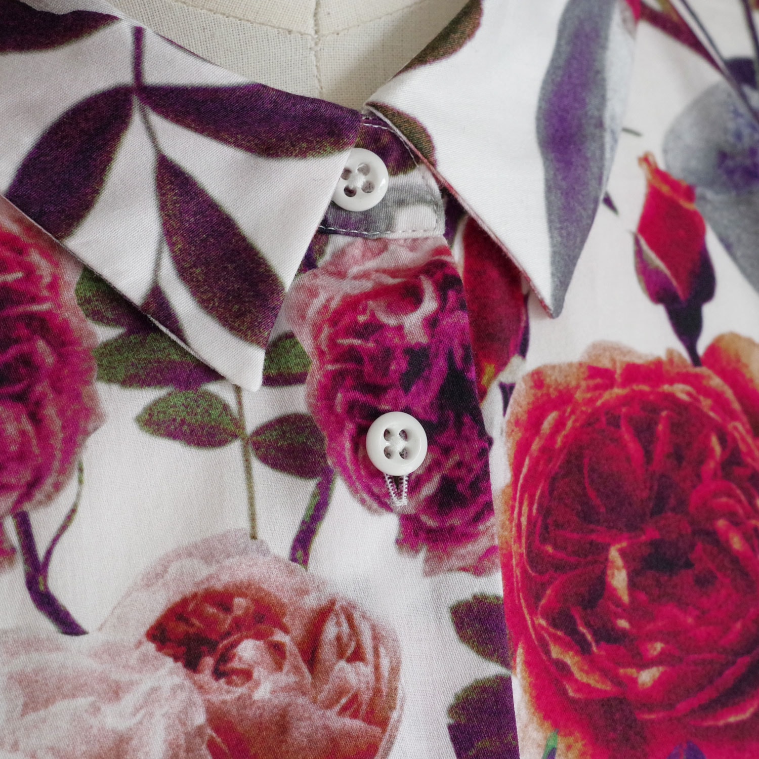 ECOLE DE CURIOSITES ��������ɥ���ꥪ���� : BRIGITTE (ROSES��WHITE) �ץ��ȥ֥饦��