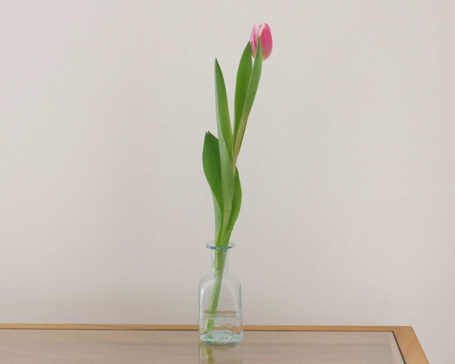 �� ���ե�꡼ La Soufflerie : Bagno Rectangulaire �ե��١���