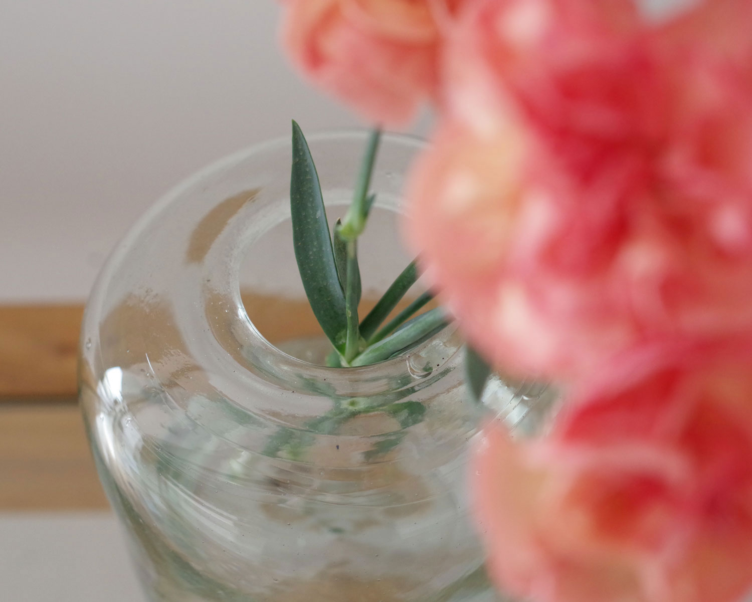 �� ���ե�꡼ La Soufflerie : Yoshi Small �ե��١���
