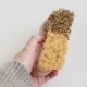 ɥ쥸 Andree Jardin  vegetable brush ٥֥֥饷