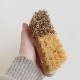 ɥ쥸 Andree Jardin  vegetable brush ٥֥֥饷