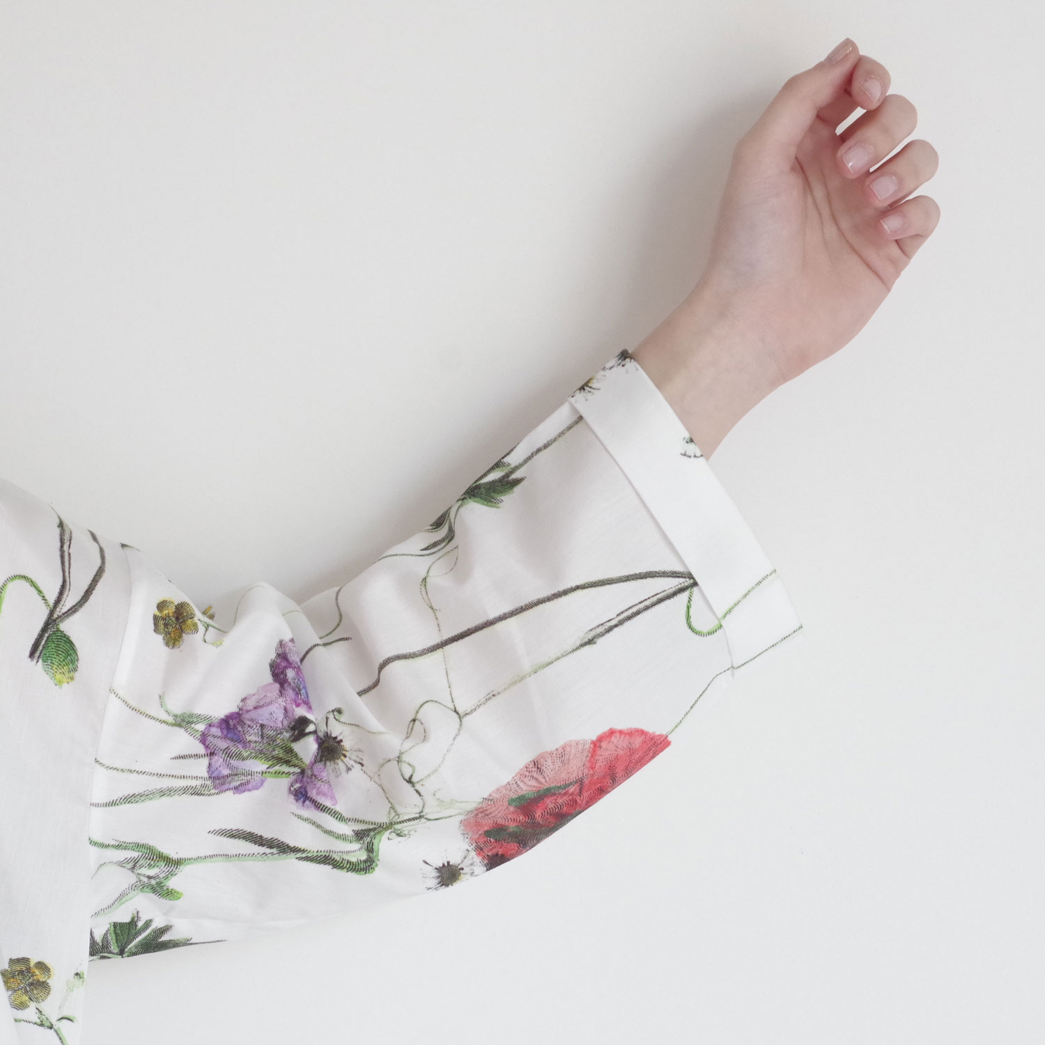 ECOLE DE CURIOSITES ��������ɥ���ꥪ���� : BRIGITTE �����åץɥץ��ȥ֥饦��
