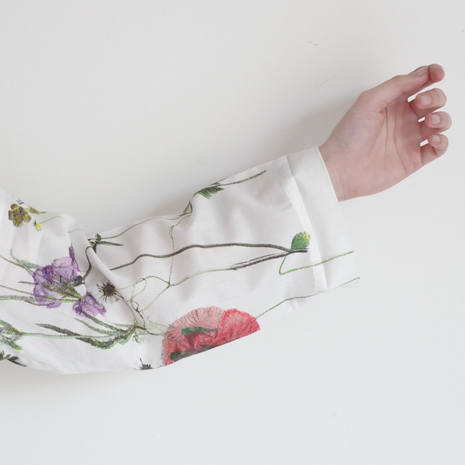 ECOLE DE CURIOSITES ��������ɥ���ꥪ���� : BRIGITTE �����åץɥץ��ȥ֥饦��