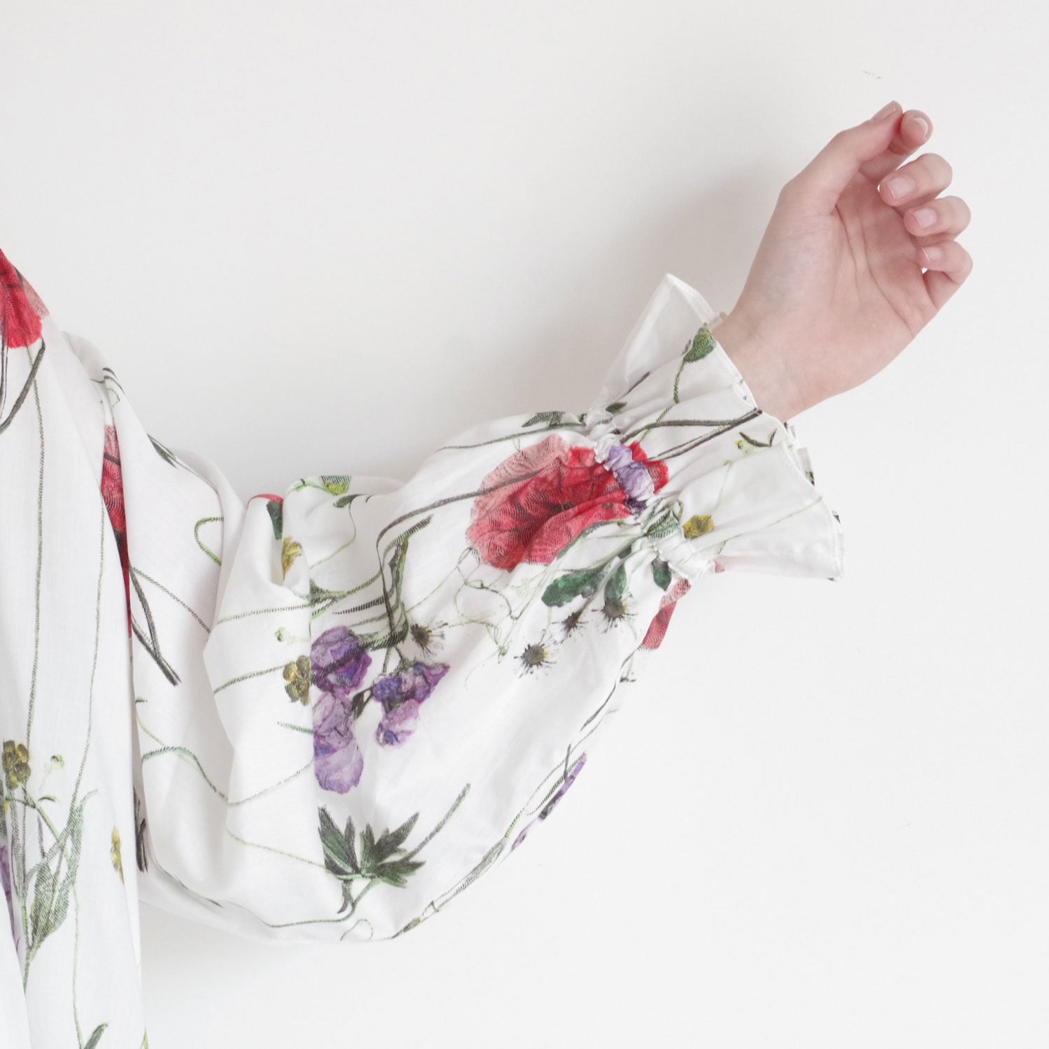 ECOLE DE CURIOSITES ��������ɥ���ꥪ���� : FORDHAM �ե��ץ��ȥ��ԡ���