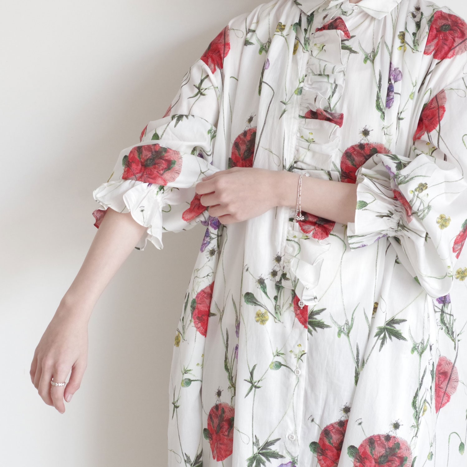 ECOLE DE CURIOSITES ��������ɥ���ꥪ���� : FORDHAM �ե��ץ��ȥ��ԡ���