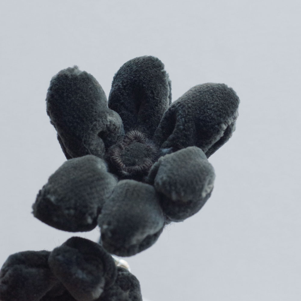 եǥ sophie digard : JONQUILLE ٥٥åȥե֥