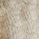  ound : CAVEN knit ˥å (IVORY)