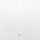 SIRI SIRI ���ꥷ�� : Harmonia Necklace G pearl Moon