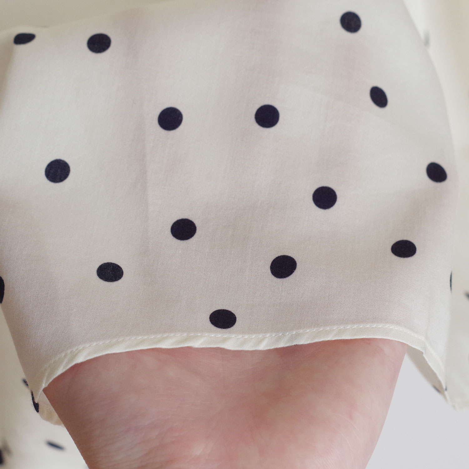 ECOLE DE CURIOSITES ��������ɥ���ꥪ���� : THEO ������ɥåȥХ롼��֥饦��