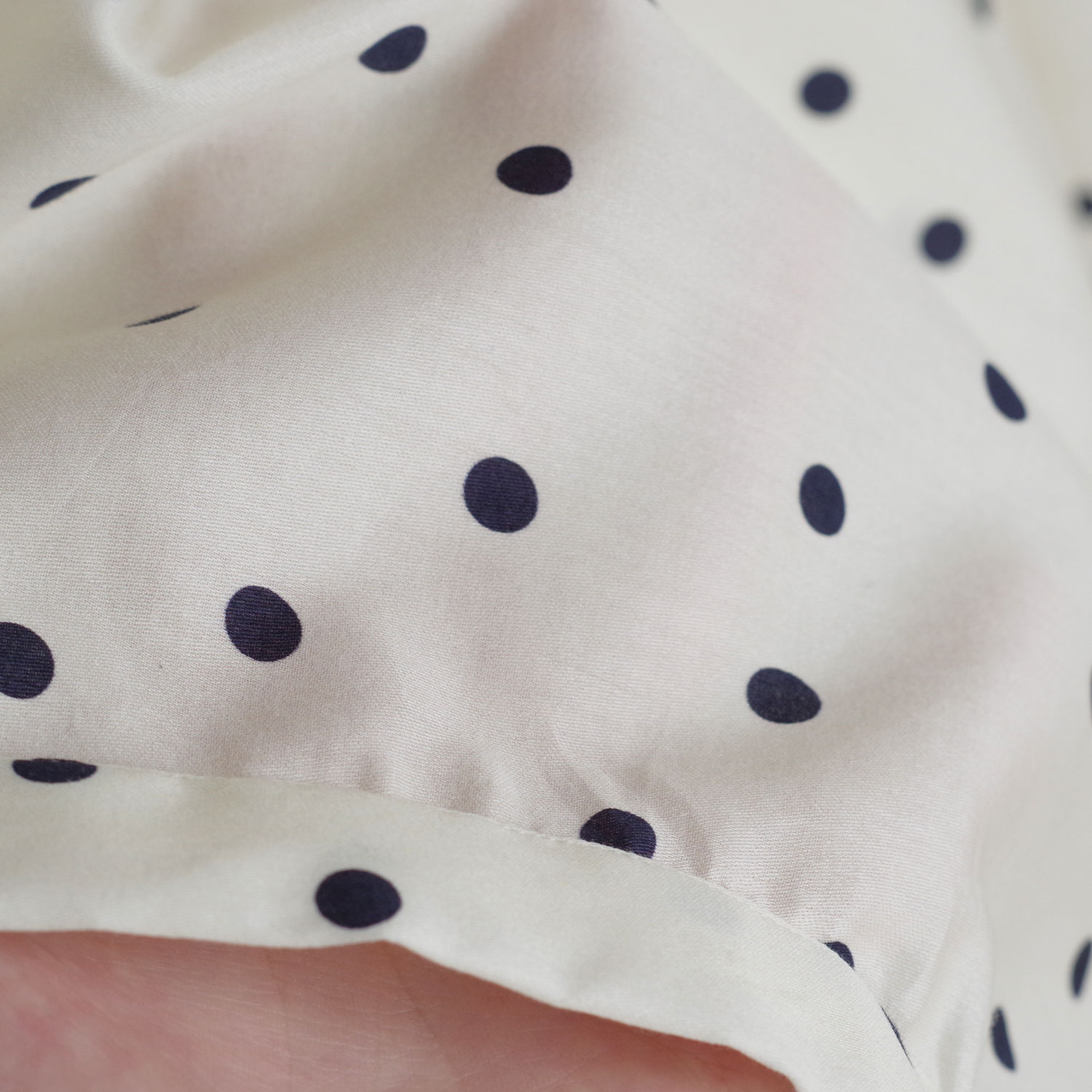 ECOLE DE CURIOSITES ��������ɥ���ꥪ���� : THEO ������ɥåȥХ롼��֥饦��