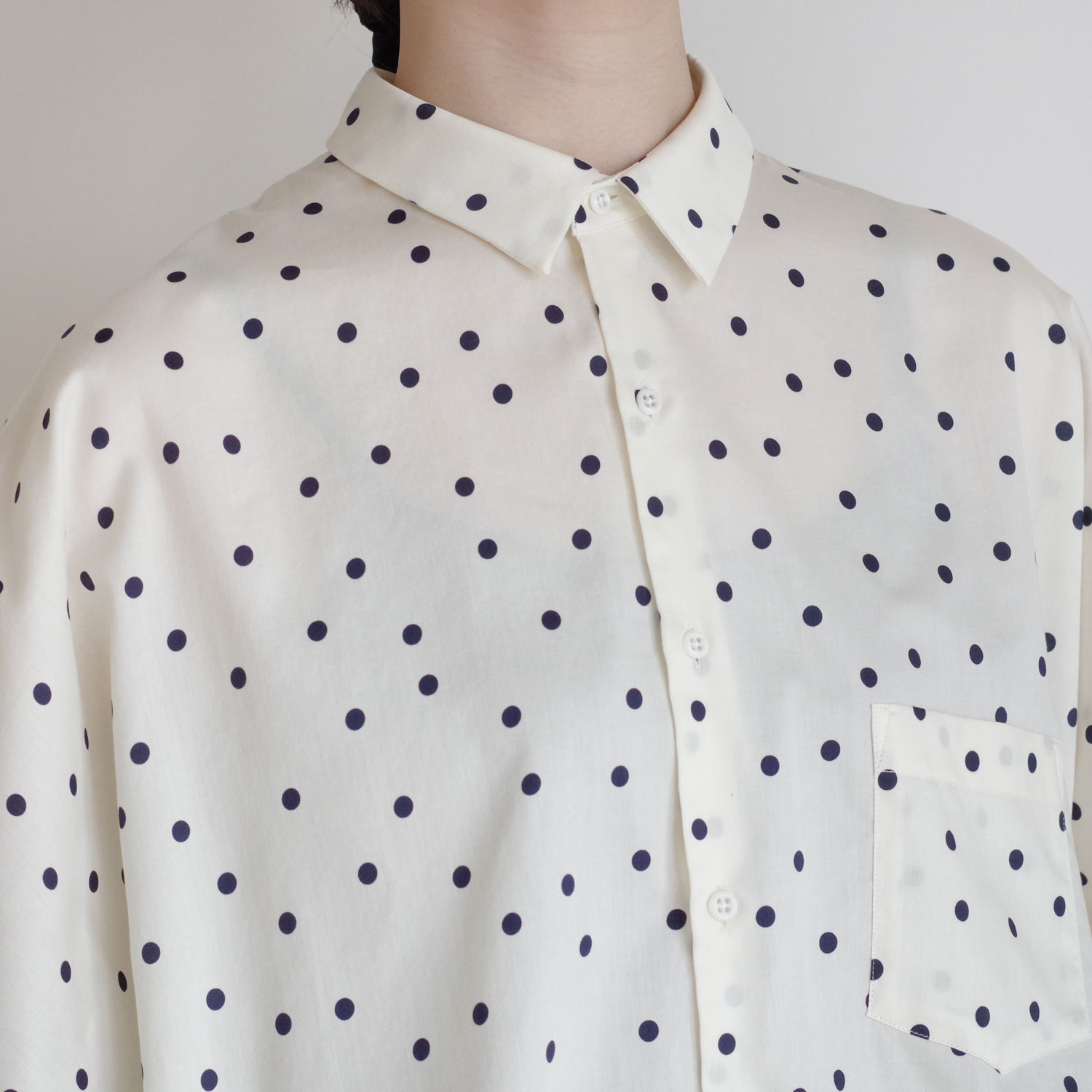 ECOLE DE CURIOSITES ��������ɥ���ꥪ���� : THEO ������ɥåȥХ롼��֥饦��