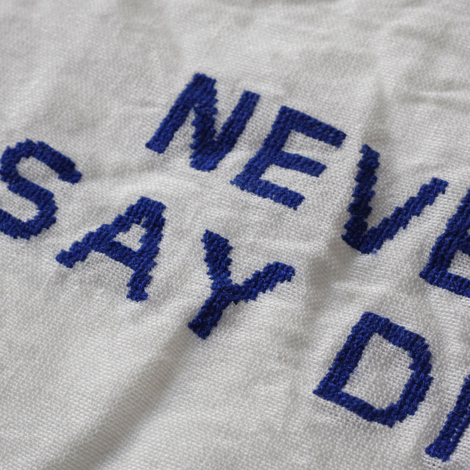 R&D.M.Co- ������ɥޥ󥺥ơ��顼 : KITCHEN CLOTH (DONUT,NEVERSAY) ���å��󥯥���