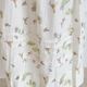 injiri ���󥸥ꡧHerbarium-180 �֥��å��ץ��ȥ���ߥ�������ԡ���