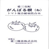 トマト台木 種<br> 『がんばる根』  愛三種苗/1000粒