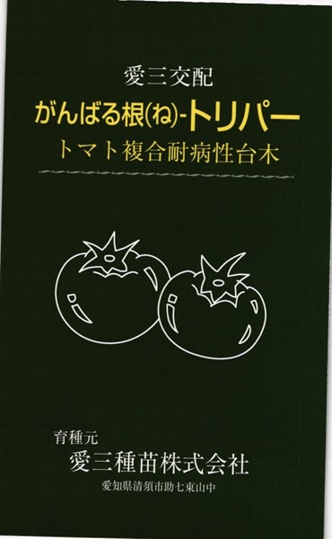 トマト台木 種<br> 『がんばる根トリパー』 愛三種苗/100粒