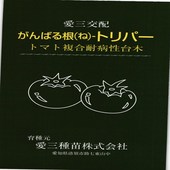 トマト台木 種<br> 『がんばる根トリパー』  愛三種苗/1000粒
