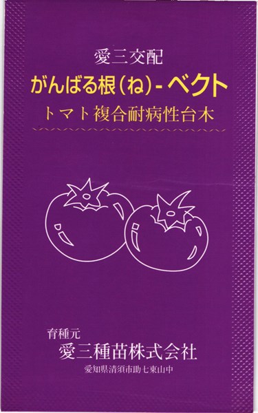 トマト台木 種<br> 『がんばる根ベクト』  愛三種苗/1000粒