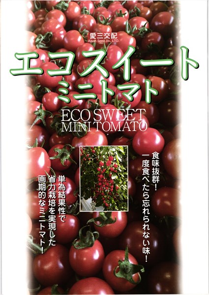 みにとまと みにとまと ルートZX mini ＃｜オンラインカタログ internet DO【株式